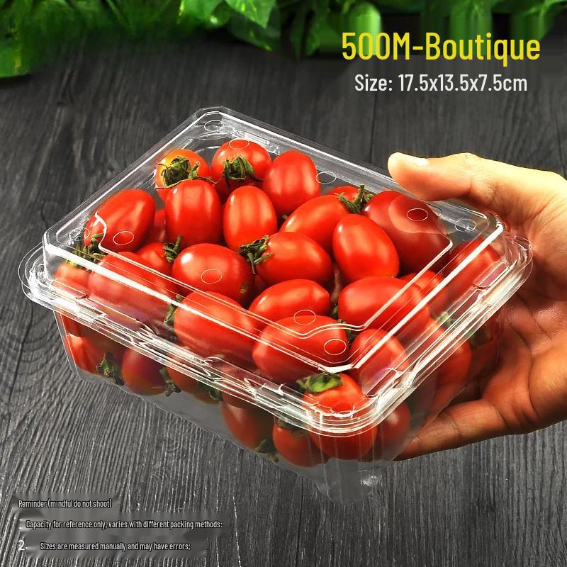 Shixun Disposable Plastic Food Containers