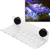 Aquarium Marine Coral Racks Bracket Holder Fish   Button Frame Enhanced Suction Cup
