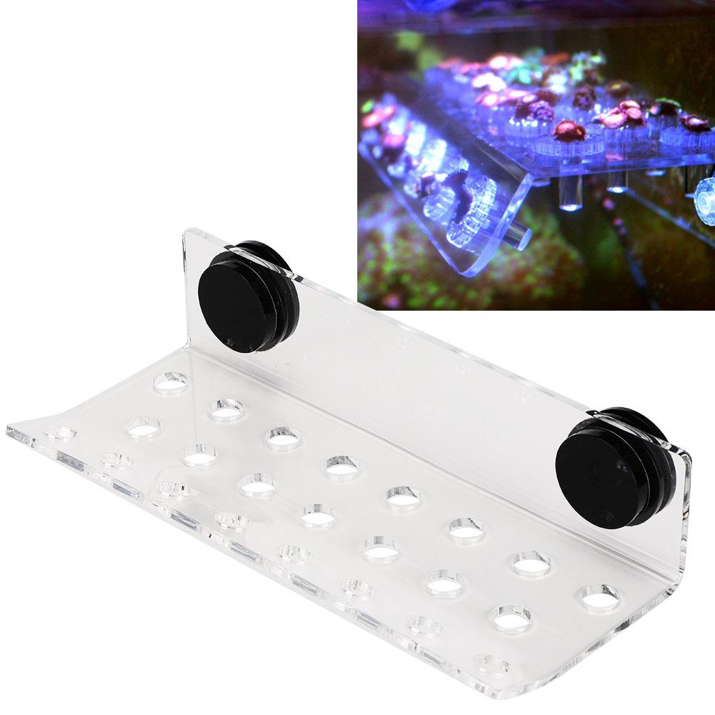 Aquarium Marine Coral Racks Bracket Holder Fish Button Frame Enhanced Suction Cup