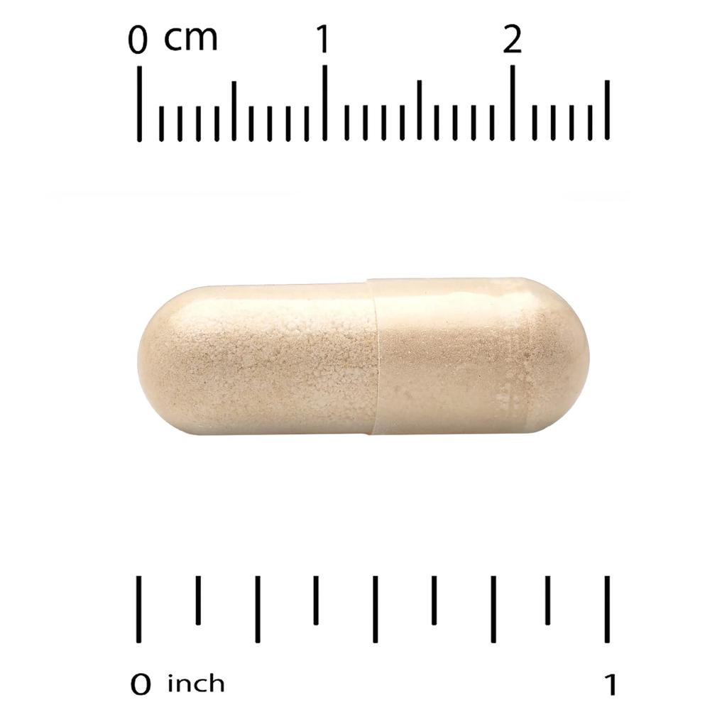 Organic Cordyceps Sinensis, 1G, 60 Veggie Capsules (0.5G per Capsule)