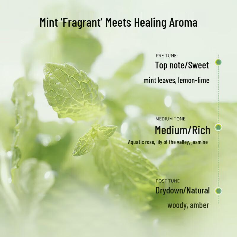 Pompai Amino Acid Mineral Mud Oil Control Shampoo