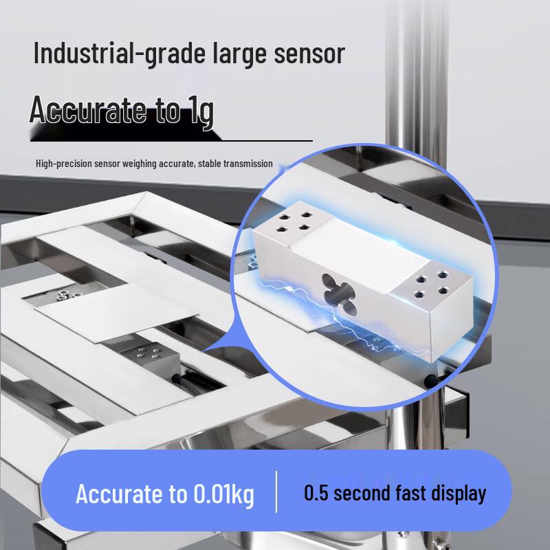 Huachao Gaoke Bluetooth Label Printing Electronic Platform Scale (CN Version)