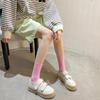 Bunte Damen Baumwoll Kniehohe Tanzsocken: Macaron Bonbonfarbe, Wadenlang, Japanischer Stil