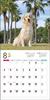 2024 Calendar Golden Retriever (Seibundo Shinkosha Calendar)