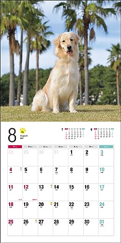 2024 Calendar Golden Retriever (Seibundo Shinkosha Calendar)