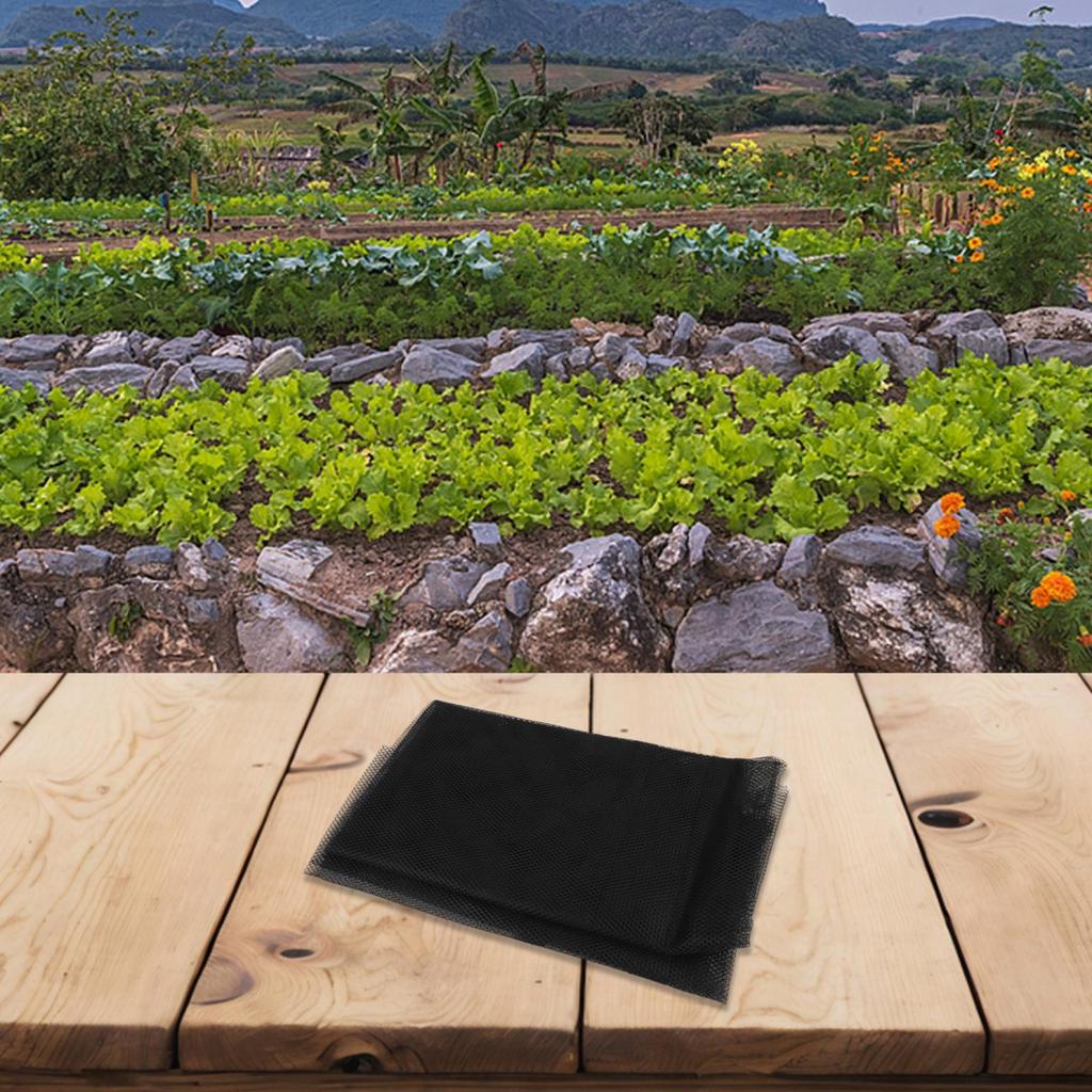 3 Meters Agricultural Tunnel for Protecting Crops from Insects and Frost