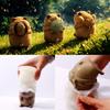 3D Capybara Mousse Cake Silicone Mold Diy Chocolate Jelly Pudding Mold Making Ice Tray Home Baking Accessories Wedding Crafts
