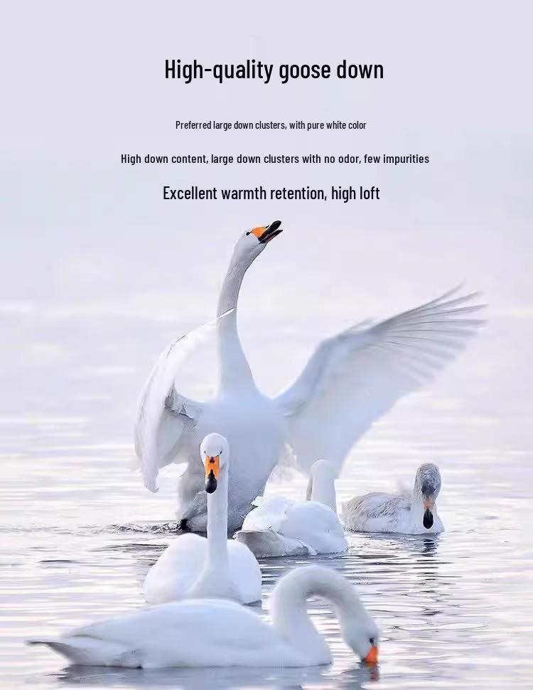 2025 Chinese Style Embroidered White Goose Down Jacket for Middle-Aged and Elderly Women - Thick Winter Coat