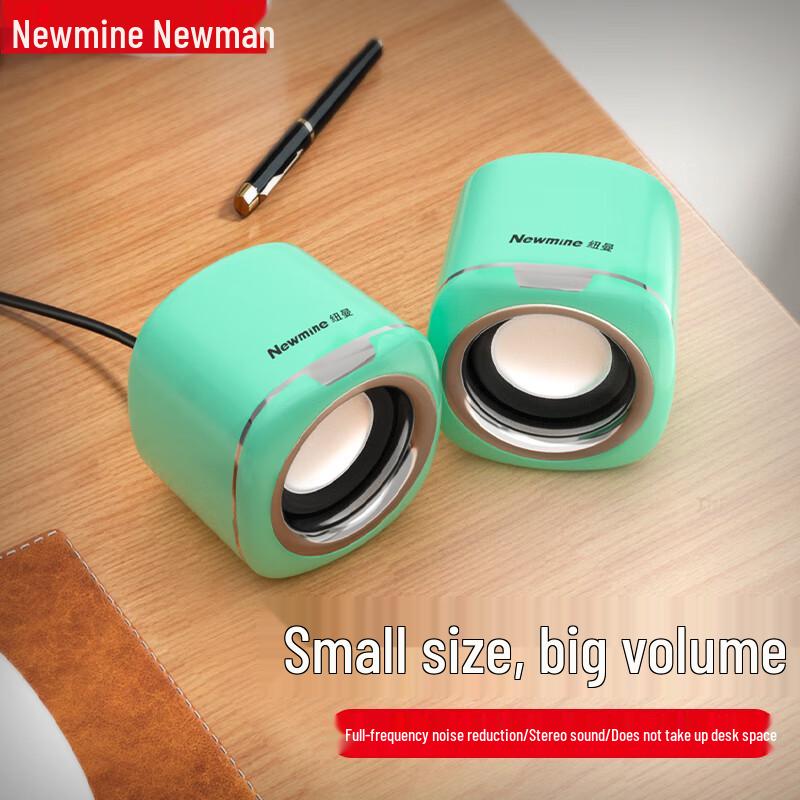 Newmine Desktop & Laptop Computer Speakers