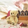 8'' Teddy Bear Stuffed Animals Brown Teddy Bear Plush Toy, Soft Plush Gifts for Kids Baby Toddlers on Baby Shower Christmas Gift