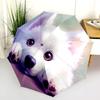 Colorful Samoyed Pattern, Automatic Folding Umbrella, Portable and Foldable Design, 8 Ribs, a Christmas or Birthday Gift.