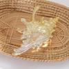 Stylish Spirals Hair Claw Clip Crystals Clear Acrylic Hair Clasp for Daily Use Secure Hold Gentle On Scalp