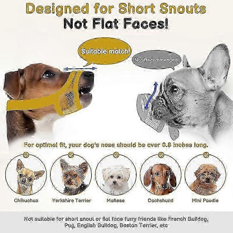 Gaas Snuit voor Honden met Korte Snuit - Anti-Bijten voor Kleine & Middelgrote Rassen Zoals Chihuahua, Pomeriaan, Brachycefale Honden