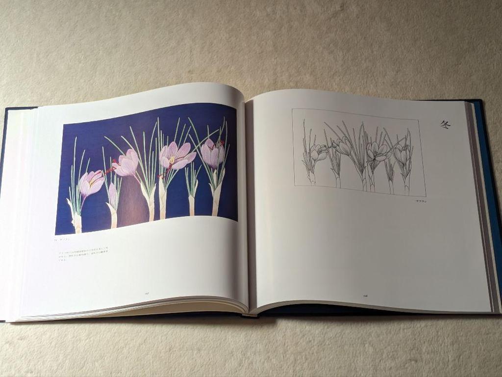 [USED] Flowers of the Heart: A Japanese Art Collection by Nobu Shibukawa