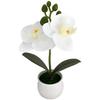 Wedding Centerpiece Artificial Orchid Lifelike Simulation Plastic Construction Low Maintenance Decoration Yellow