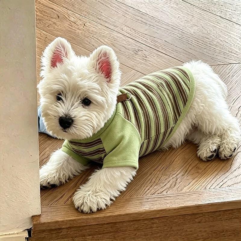 Dog clothes early autumn new elastic striped shirt bipod small dog bichon teddy pet autumn and winter bottoming shirt