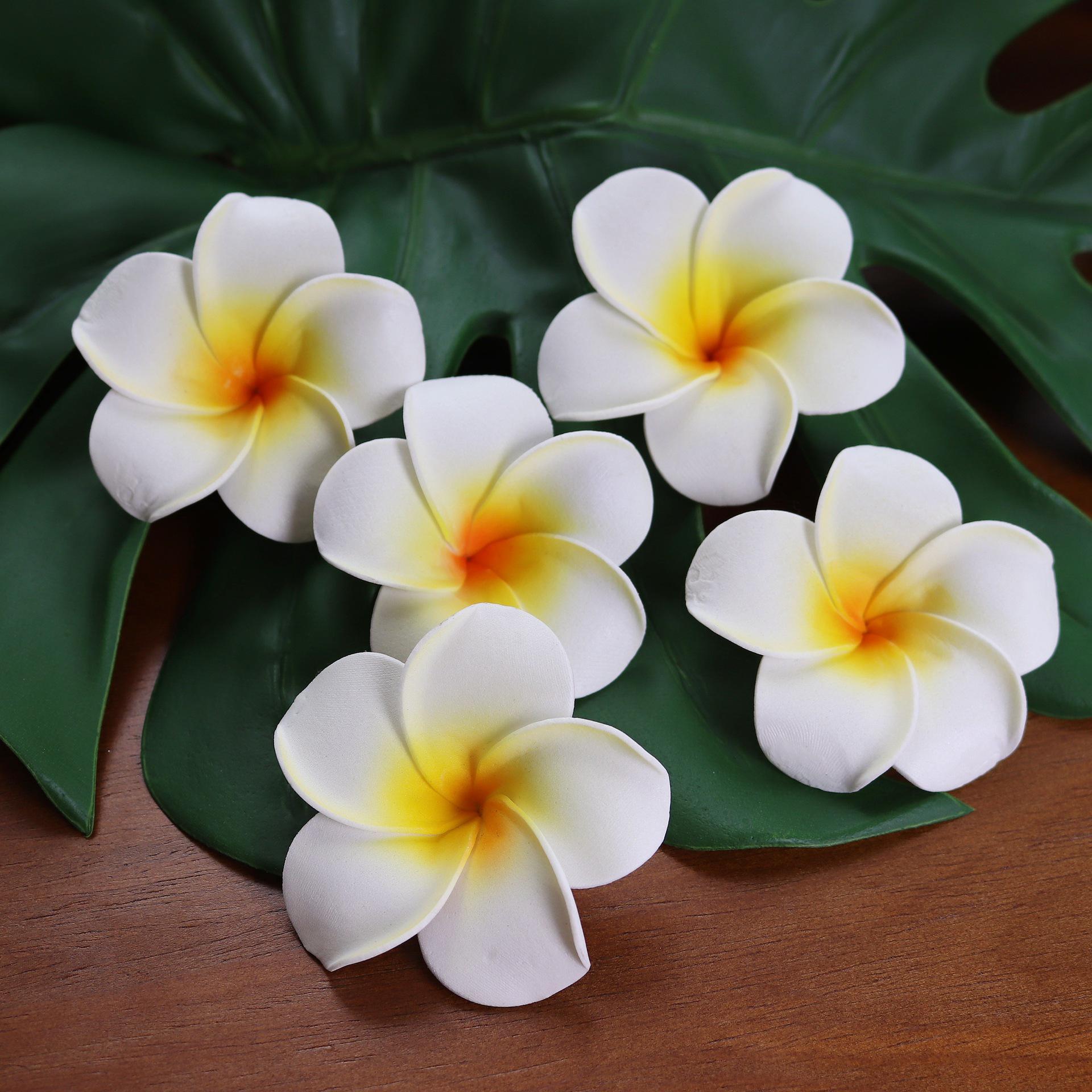 Wooden Platforms Ceramic Handwashing Basin - Courtyard Spa Style