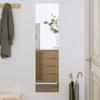 Vidaxl Wall Mirror, 30X100 Cm, Glass, Rectangular
