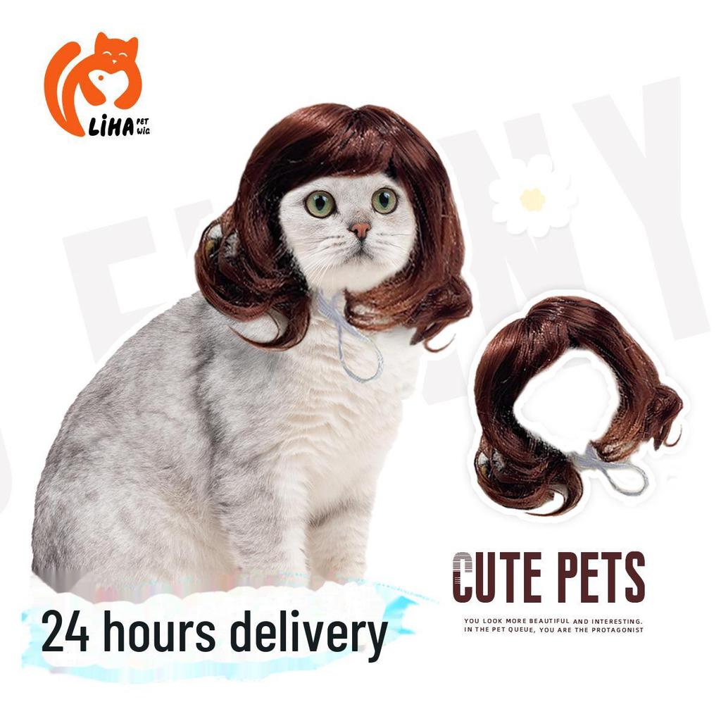 Holiday Party Pet Wig: Long Curly Cat Hairpiece