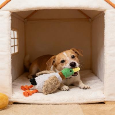 Plüsch-Enten-Hundespielzeug für aggressive Kauer Quietschendes Hundekauspielzeug Unzerstörbares Stoff-Enten-Spielzeug für Hunde Langeweile-Bekämpfung Zahnen