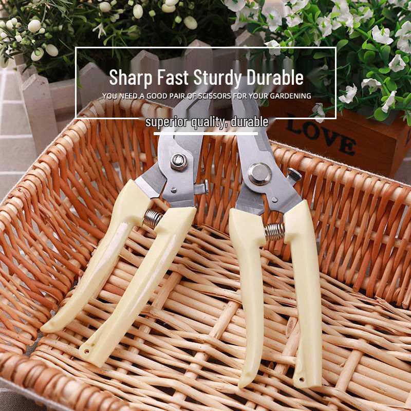 Garden Pruning Shears: Labor-Saving Scissors for Branches and Floristry Curved Garden Scissors