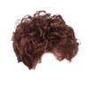 Fashion Women's Sexy Full Wig Short Wig Curly Wig Styling Cool Wig