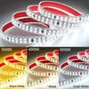 Taśma LED 30M-0.5M 2835 AC 220V Z wtyczką EU IP68 Wodoodporna 3000K/4000K/6000K 12MM Elastyczna Cięta Miękka Taśma 240LED/M