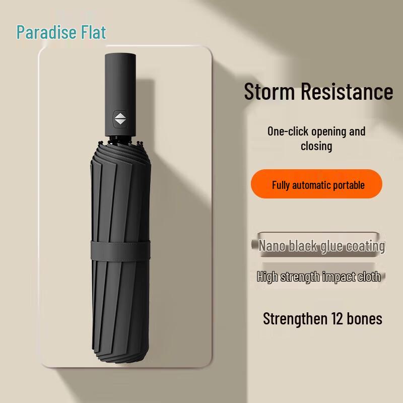 

Tian Tang Automatic 12-Rib Blackout Umbrella