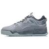 New LiNing CF Lightweight And Wear Resistant Low Top Skateboard Shoes Men's Stone Gray AGCR289-3