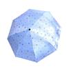 Mini-Regenschirm mit Sternenmuster, faltbar, wasserdicht, winddicht, UV-beständig