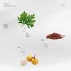 Ai Xiu Tang Adult Mugwort Navel Patches