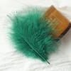 50Pcs Fluffy Turkey Marabou Feather 10-15Cm Turkey Feathers Decoration Accessories For Jewelry Clothes Wedding Plumes DIY Crafts