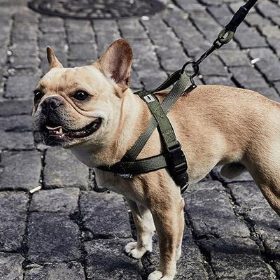 Hunde Tagesauslauf L-förmiges Geschirr Leinen Set, Khaki