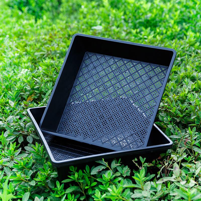 KEYSHEEL Plastic Rectangular Seedling Tray