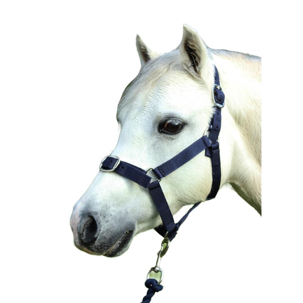 Gallop Horse Headcollar and Leadrope Set
