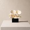 Coral-Flower Decorative Ornament Minimalist for Bookcase Accent, Reading Nook