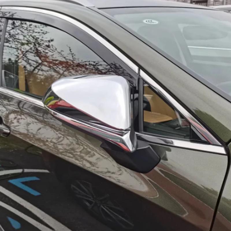 Rearview Mirror Cover for Lexus RX 200t/300/350l/450h/500h (2016-2022)