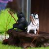 Cat Hanging Decoration Aquarium Tanks Decor Bonsai Miniature Figurines Fish Tank Ornaments Kitten Fishing Ornament Cat Statue
