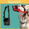 Perros – Manuales de entrenamiento y conducta