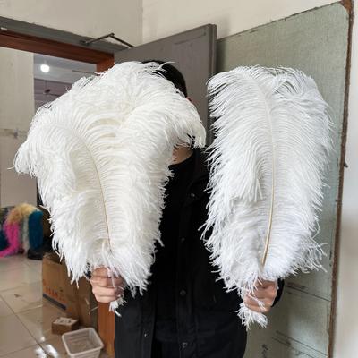 10 pz slot 55-60 cm Piuma di Struzzo per Artigianato Festa Matrimonio Decorazione Piume Centrotavola di Struzzo Piume Bianche Decorazione