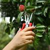 Garden Pruning Shears Potted Branches Scissors Fruit Picking Small Scissors Household Hand Tools Orchard Farm Gardening Tools