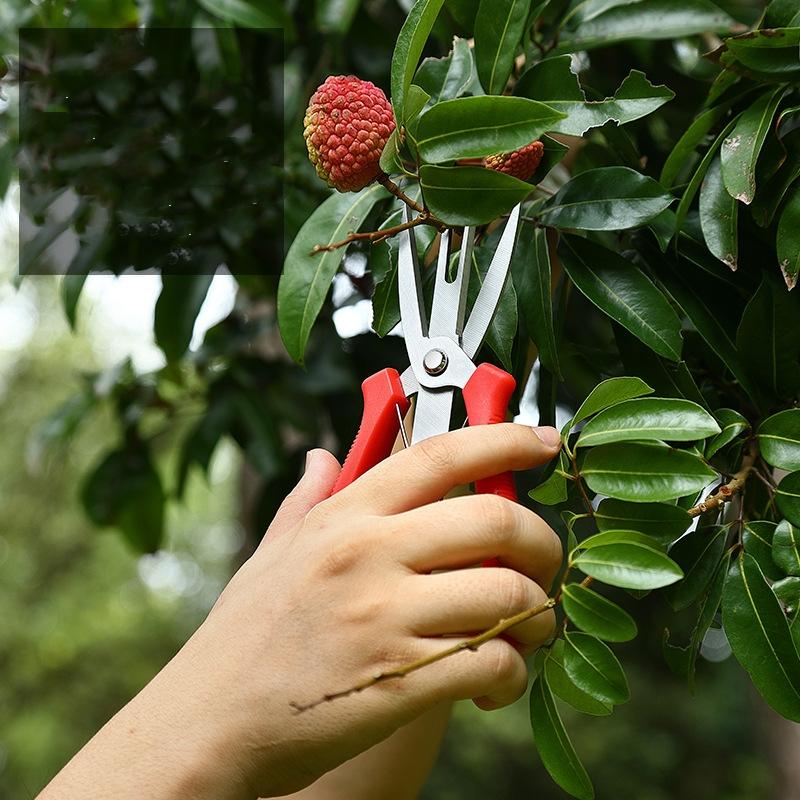 Garden Pruning Shears Potted Branches Scissors Fruit Picking Small Scissors Household Hand Tools Orchard Farm Gardening Tools