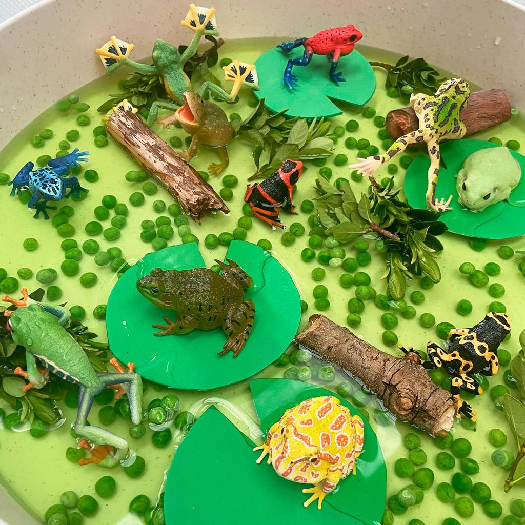 TOYMANY 12-Piece Frog Figure Set, Realistic Frog Model Figurines, Perfect for Birthdays, Christmas, New Years, Halloween, and More, Ages 6 and Up