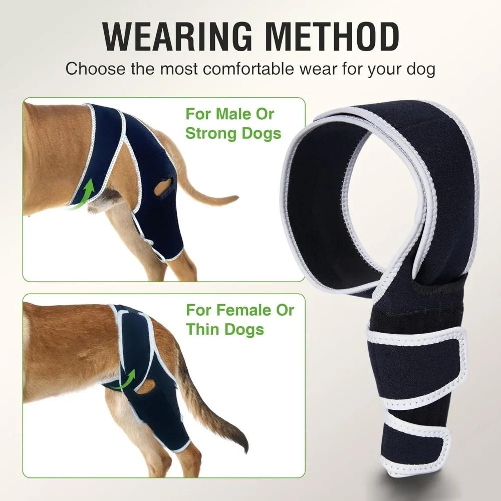 Dog Knee Brace for Torn ACL Hind Leg, Shoulder Dislocation for Older and Athletic Dogs, Front Leg Brace Support for Big Breeds