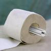Toilet Paper Holder Roller Spindle Replacement Rod PP Spring Loaded Paper Holder Insert for Bathroom