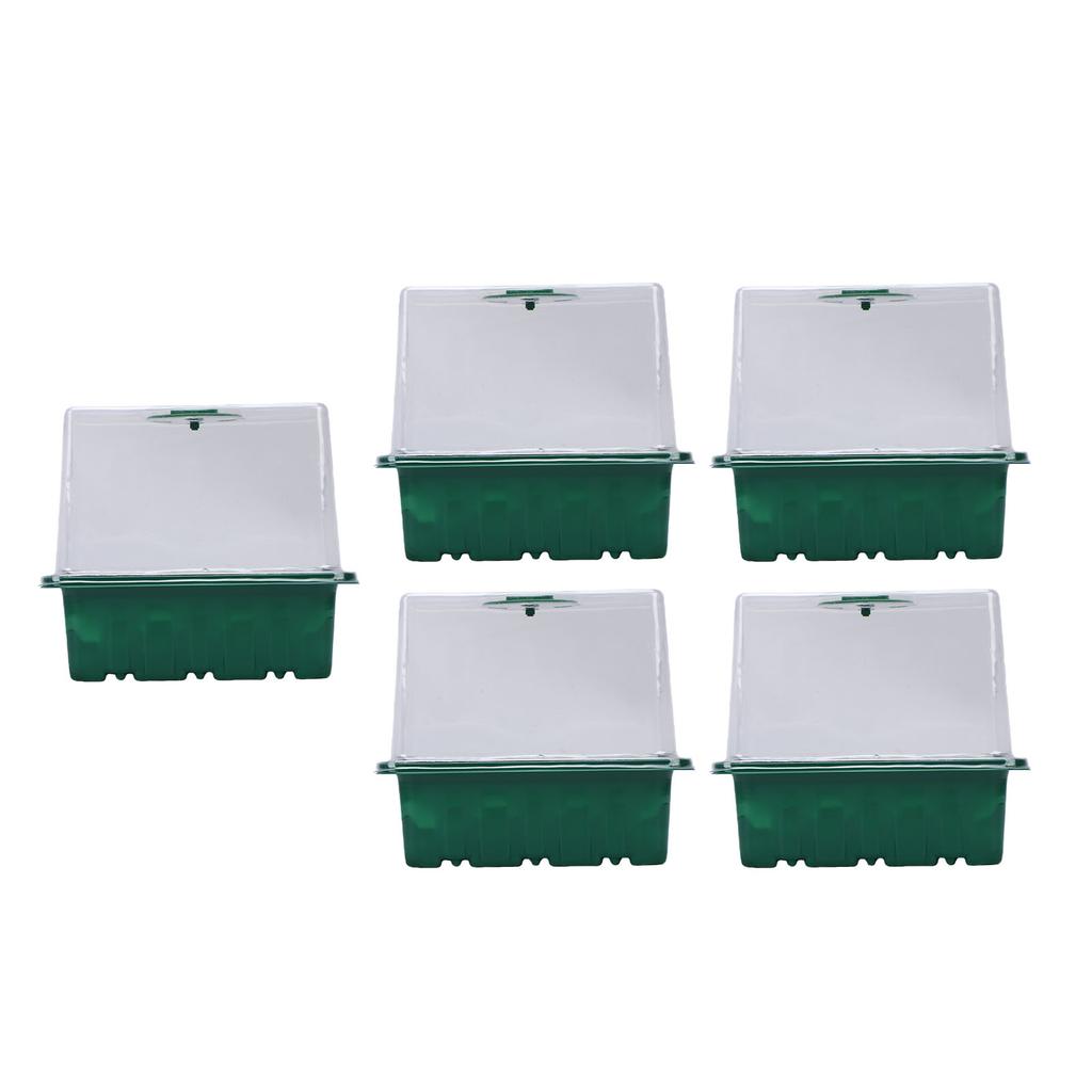 Plant Starter Tray 6 Cells Breathable Visible Reusable Heightened Plant Germination Tray for Gardening