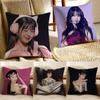 Cool Jang Won Young Pillow Case Anti-dustmite Pillowcase Invisible Zipper Silky Sofa Cushion Cover