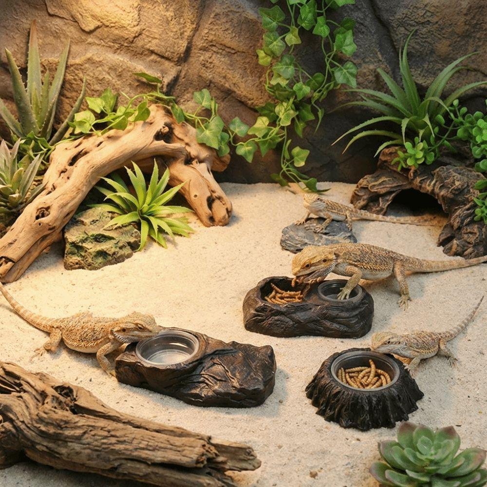 Imitation Stone Resin Rock Feeder Dish Wear Resistant with Bowls Reptile Food Bowl Prevents Spills Anti-knock