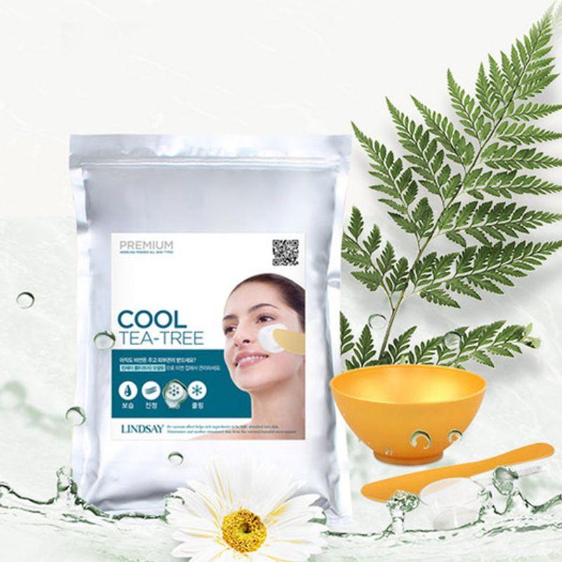 LINDSAY Premium-Modellierungspaket (Hautpflege-Shop-Anwendung) 1kg + 3er Werkzeugset