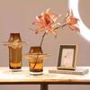 Modern Simple Glass Flower Vase Nordic Style Dried Flowers Vases Desktop Hydroponic Vase Arrangement Living Room Home Decor